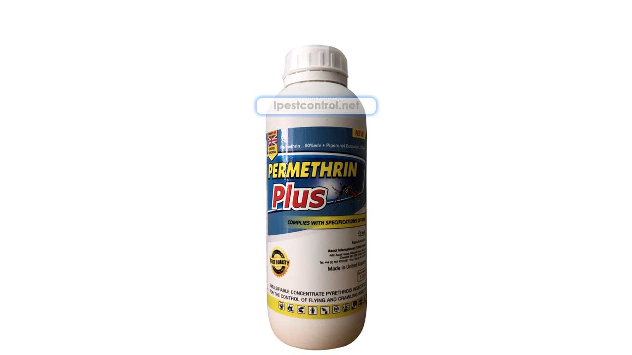 thuốc diệt muỗi và côn trùng Permethrin Plus