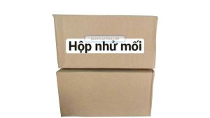 hộp nhử mối giải pháp diệt mối tận gốc