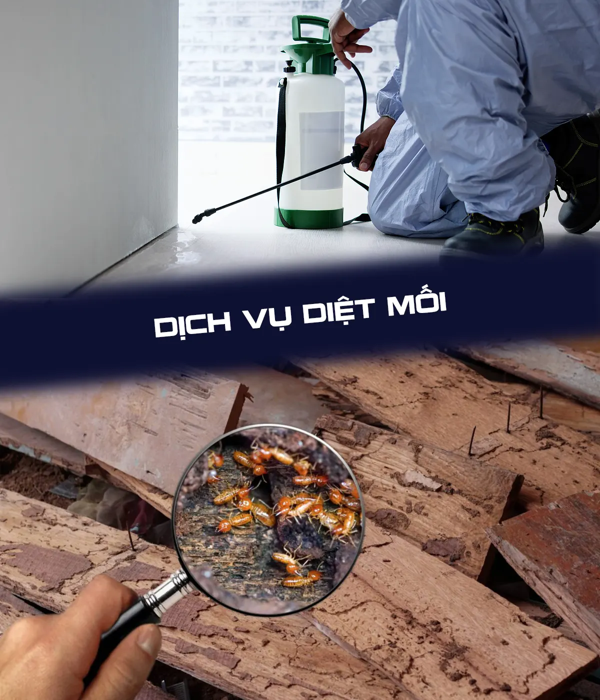 công ty diệt mối kill pests