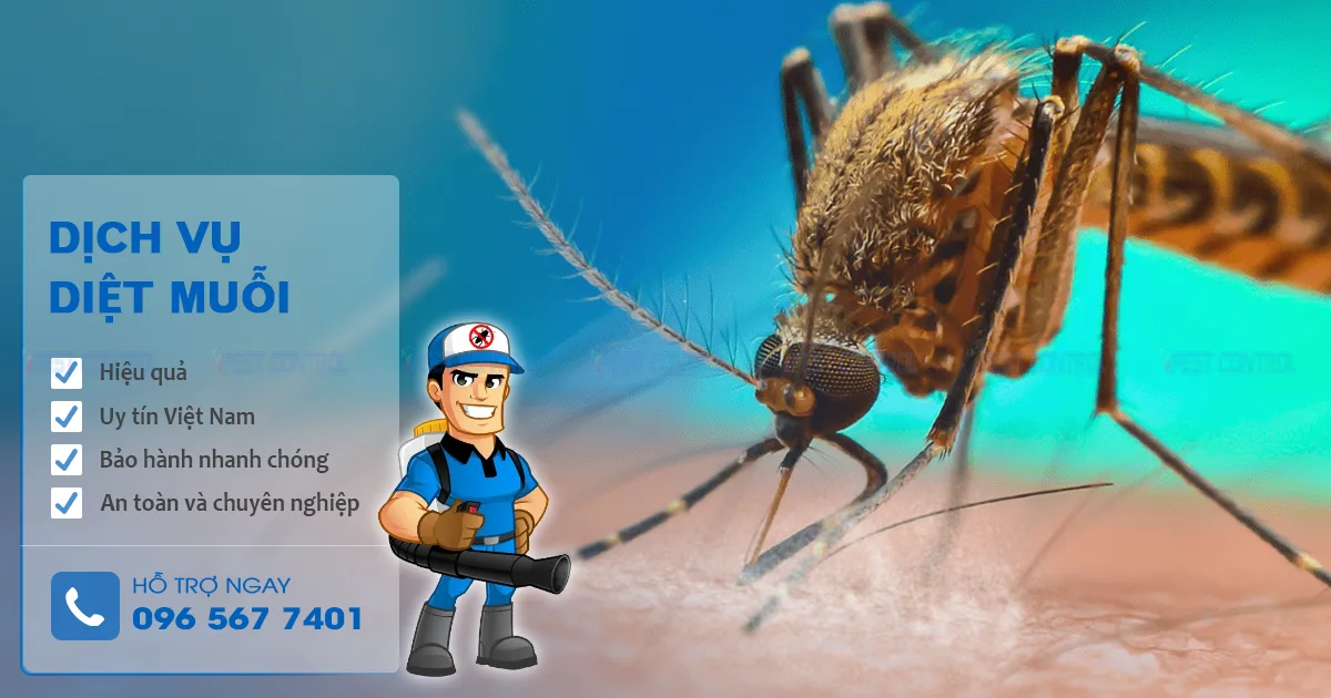 dịch vụ phun thuốc muỗi giá rẻ kill pests